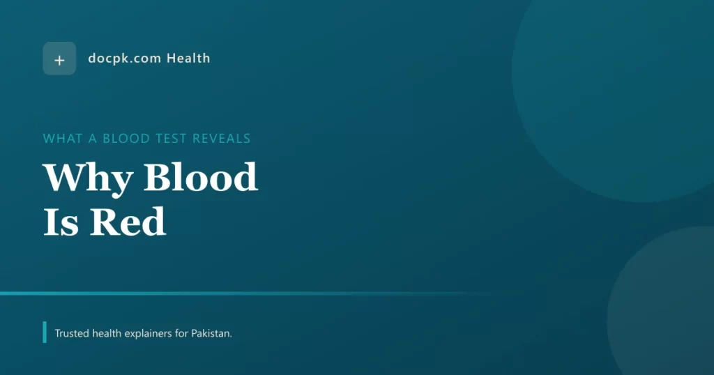 Why Blood Is Red, and What a Routine Blood Test Actually Reveals - docpk health